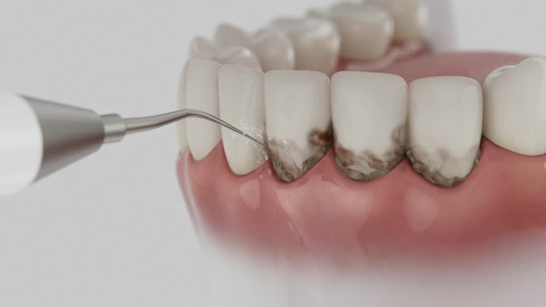 Reliable Dental contractor in Dutch Island, GA by Dentist Open Now